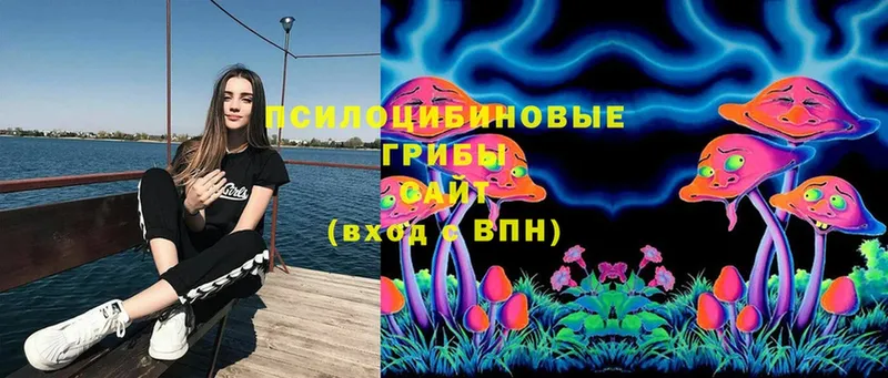 hydra зеркало  Трубчевск  Псилоцибиновые грибы Cubensis 